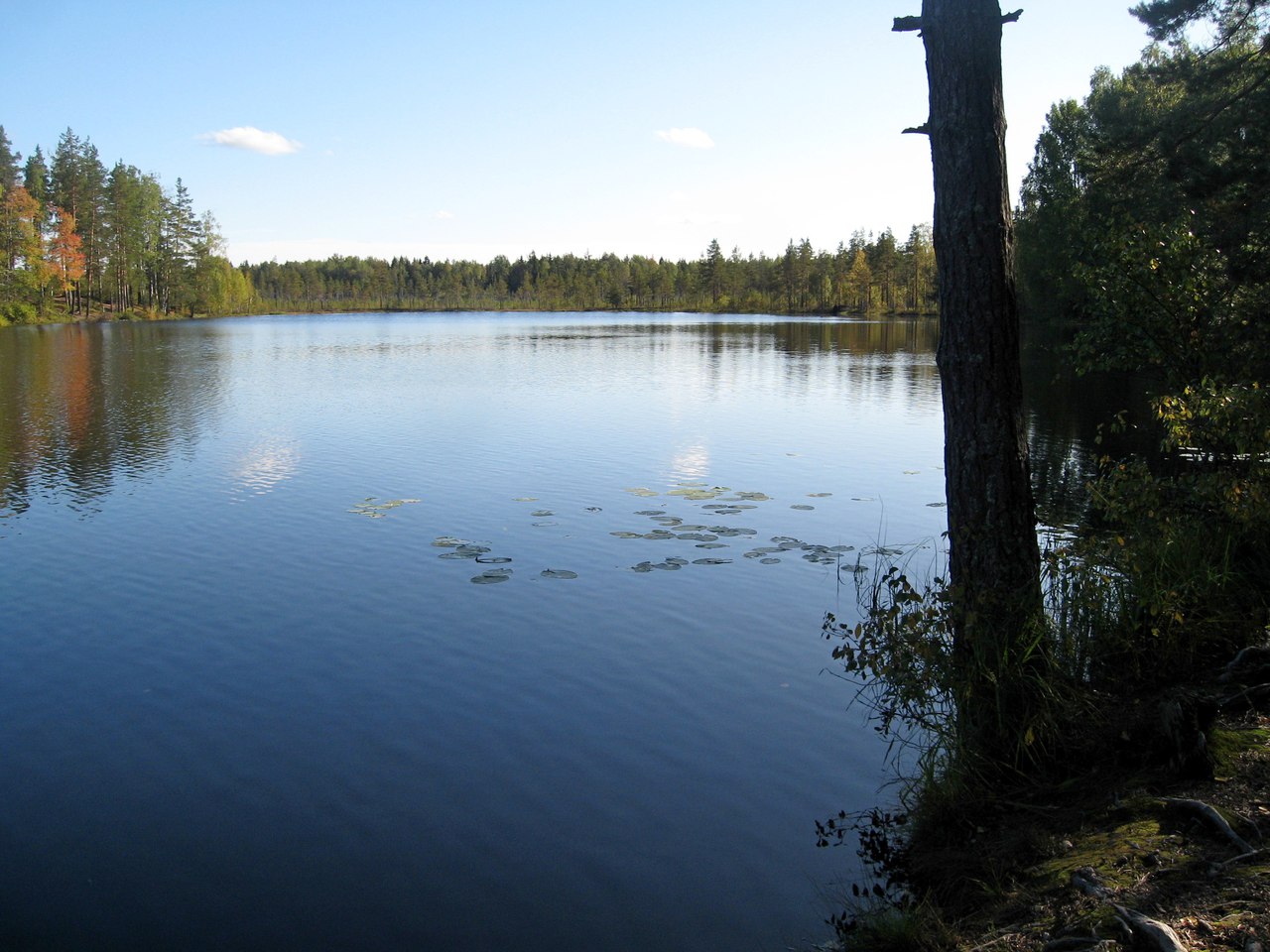 Озеро в подгорном красноярск