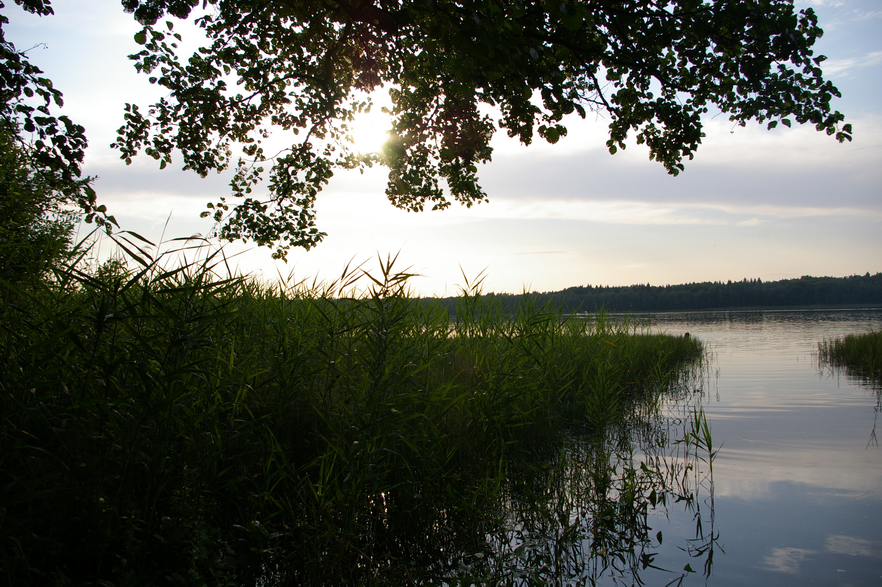 Озеро глубокое Звенигород