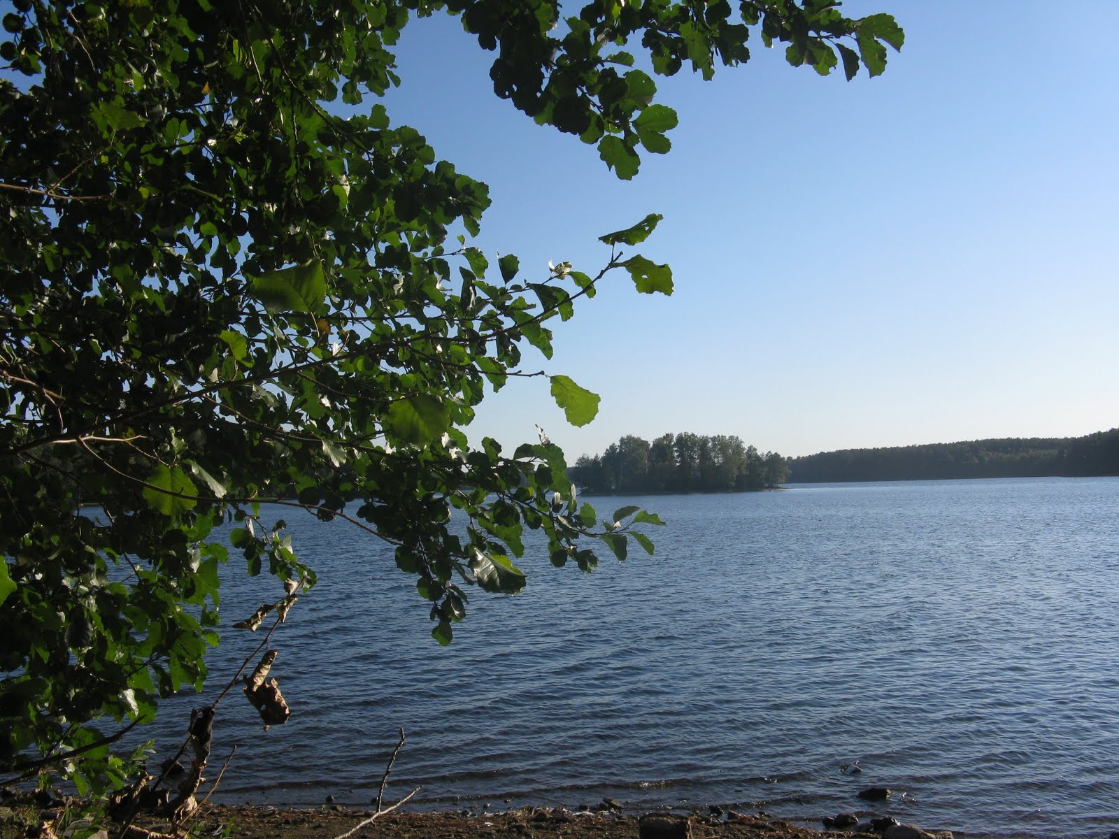Озеро еловое челябинская. Еловое Миасс. Озеро Еловое Миасс. Бараус озеро Челябинск.
