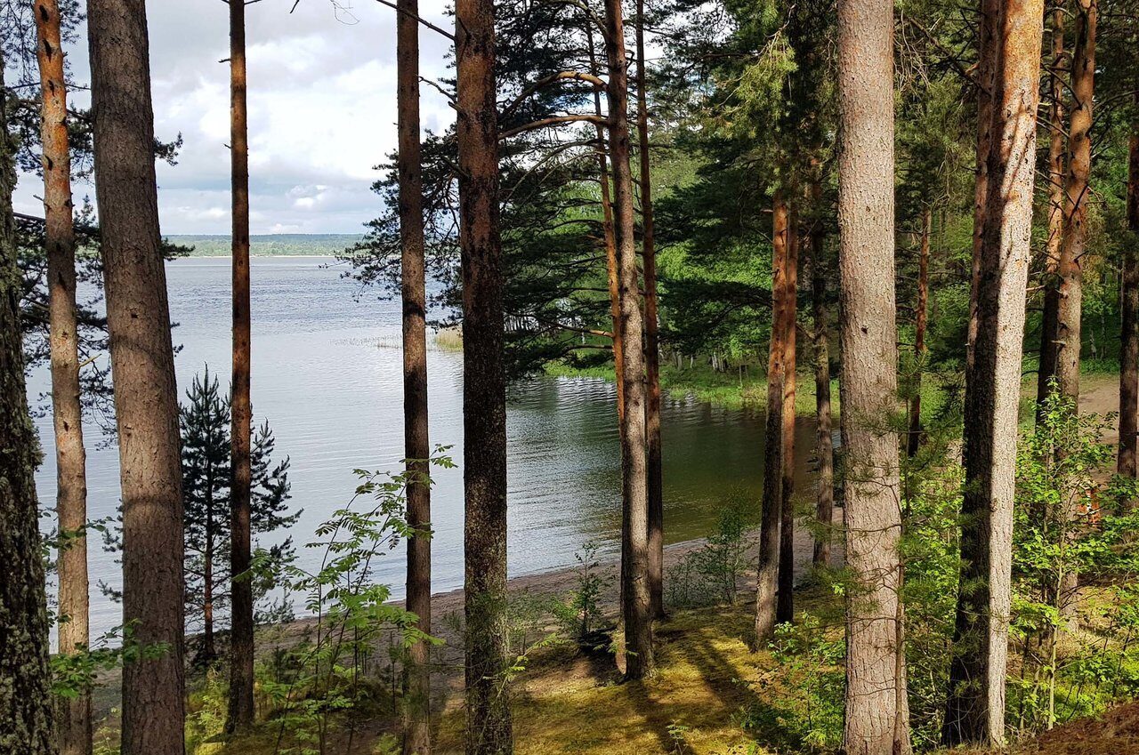 озеро суходольское ленинградская область