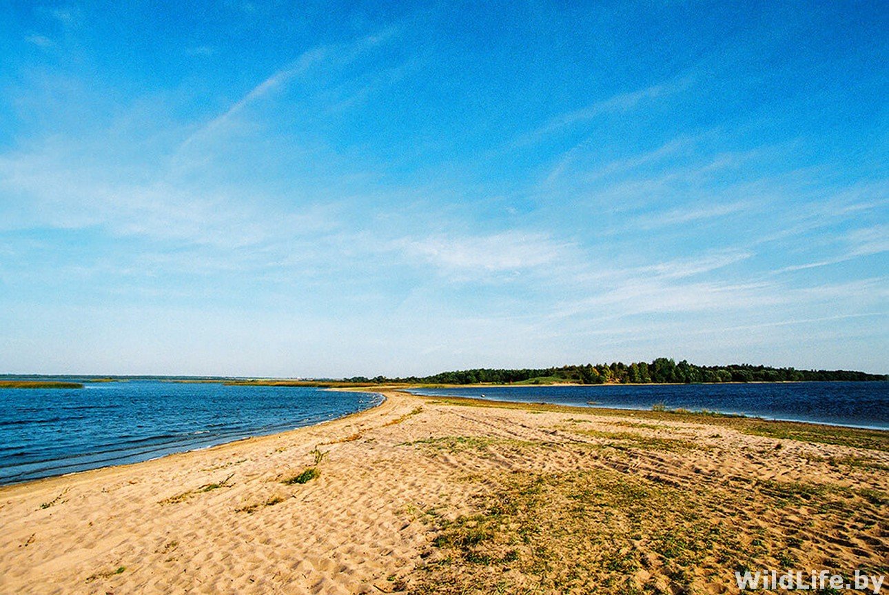 Панское озеро Беларусь