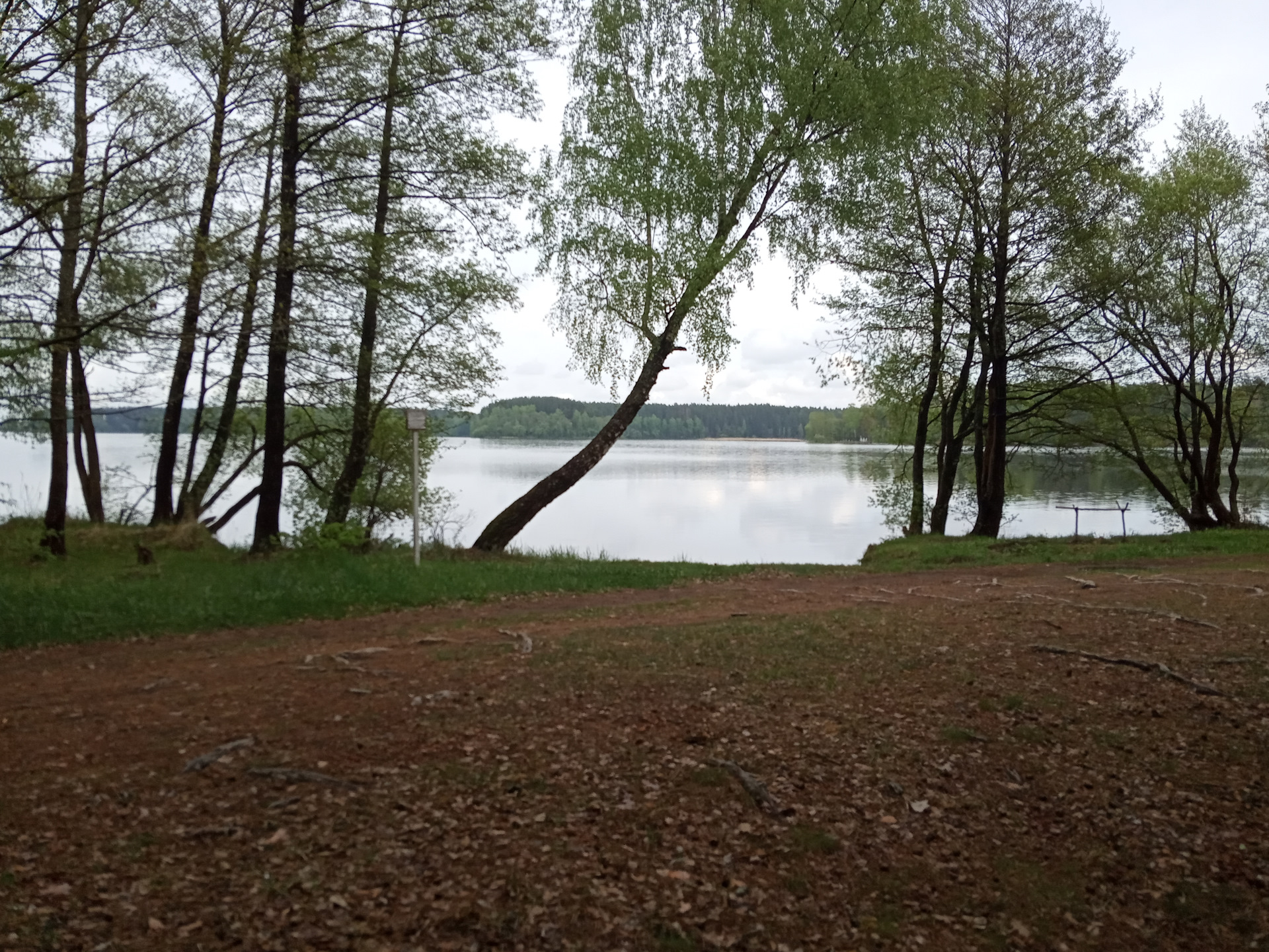 Белоруссия озеро Селява коса