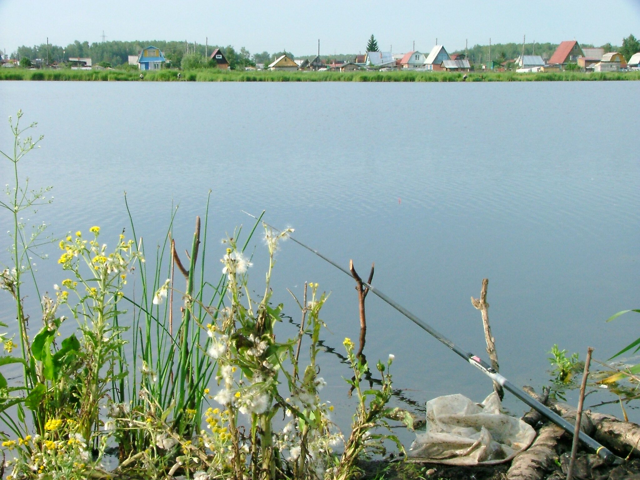 Озеро медвежье рыба. Озеро Медвежье Новосибирск. Медвежка Новосибирск озеро. Озеро Медвежье Новосибирск беседки. Озеро Медвежье Курганская область.
