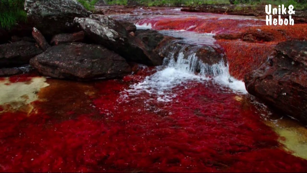 Кровавая река Каньо-Кристалес