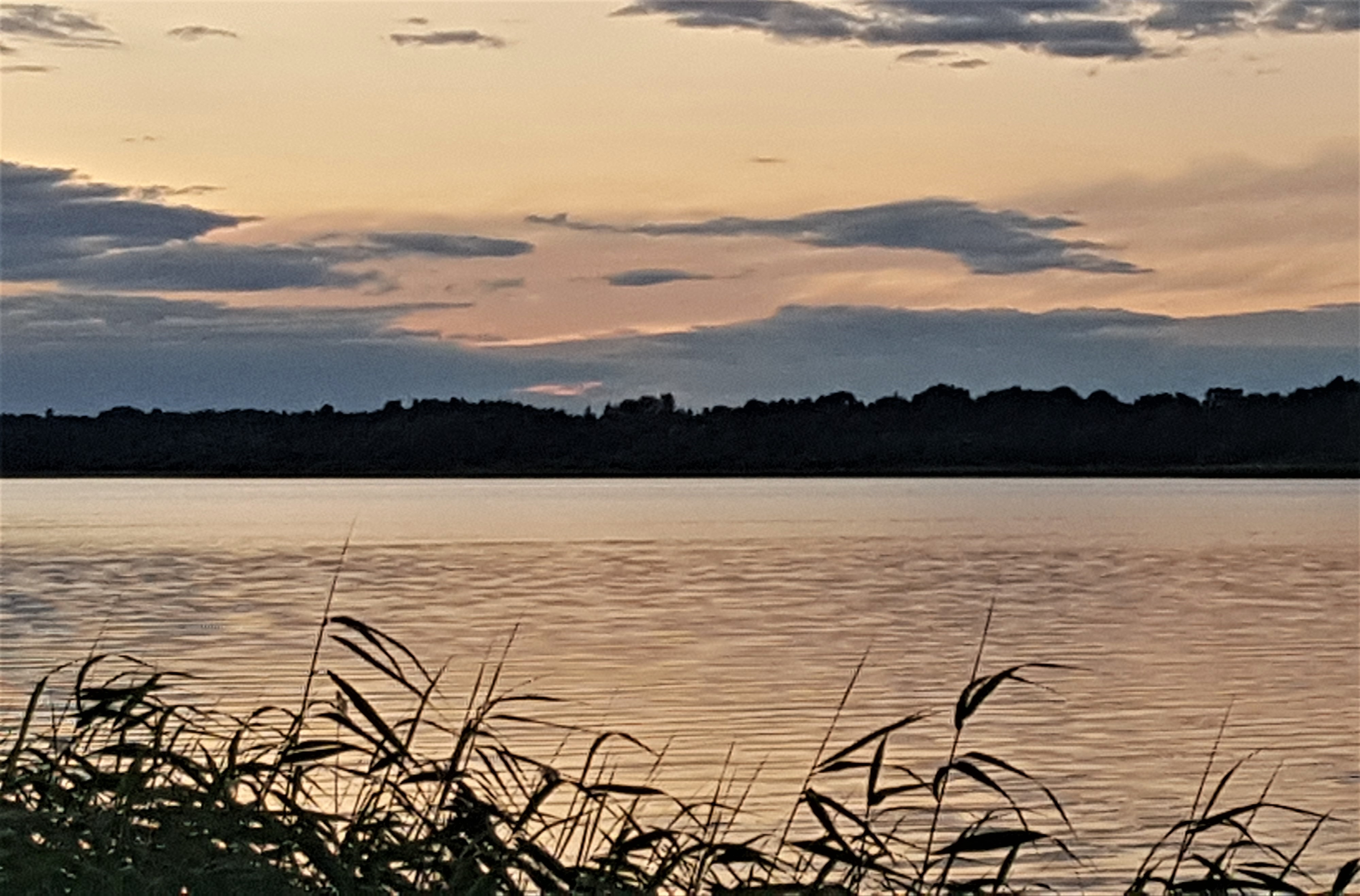 Череменецкое озеро Лужский район