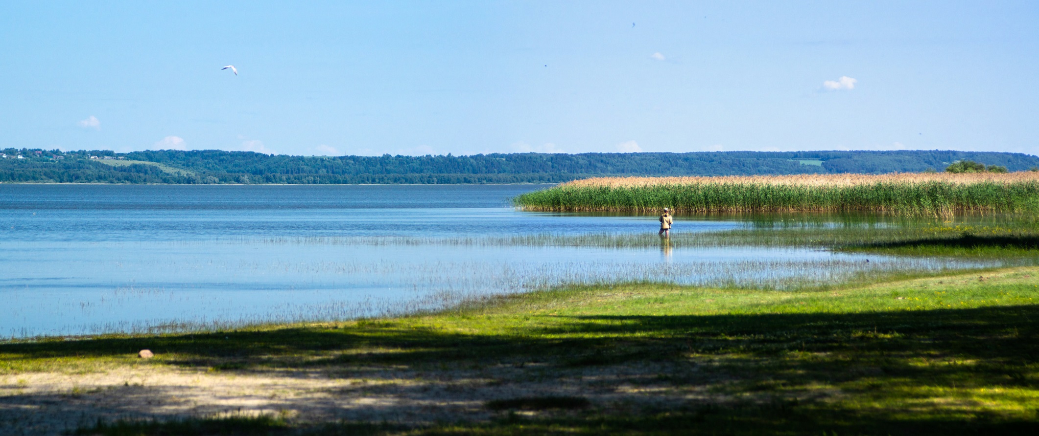 Галичское озеро Костромской области