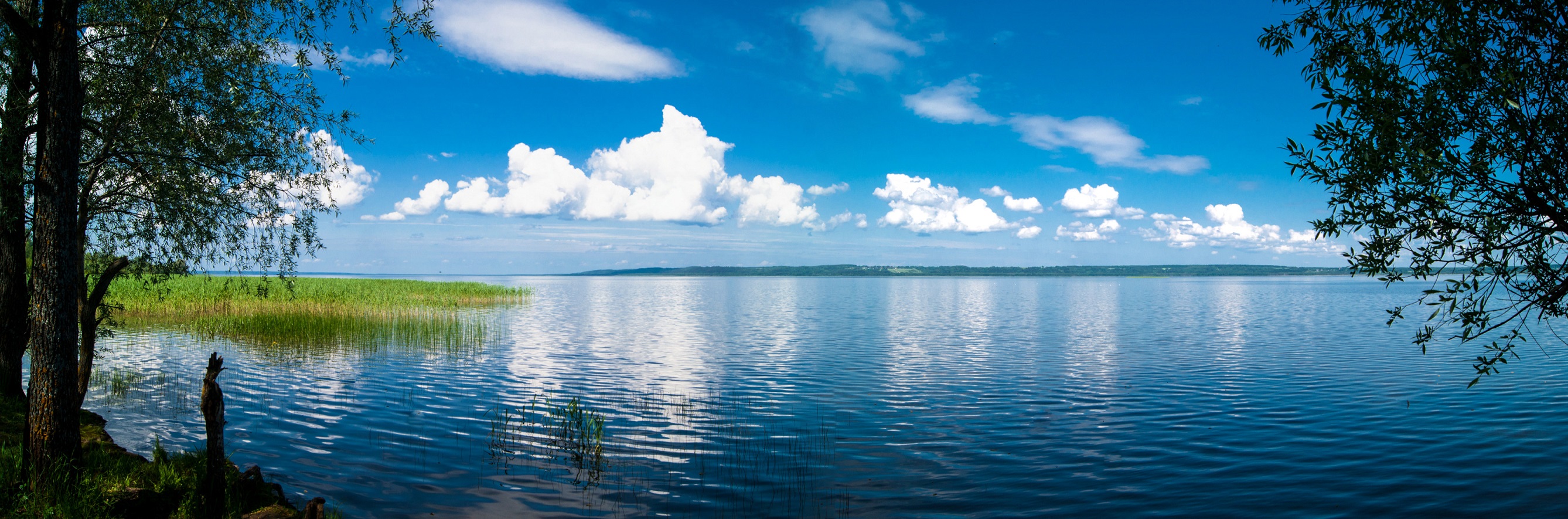 Галичское озеро костромской области фото