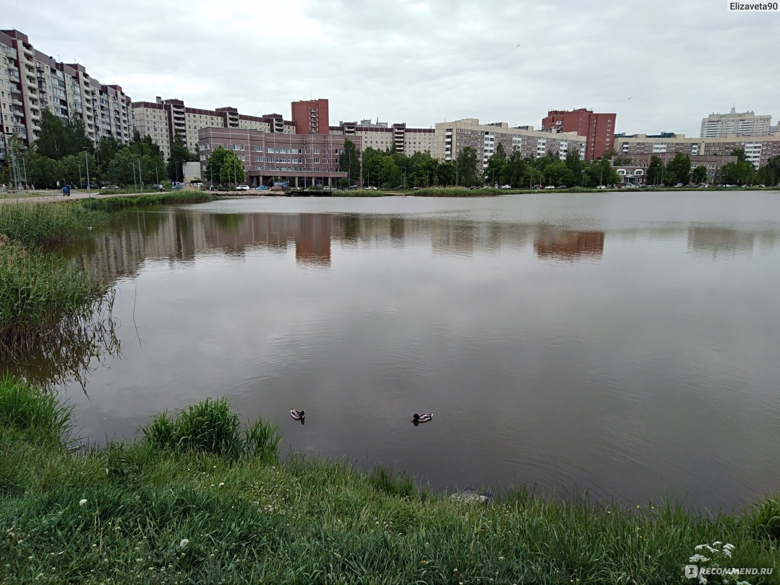 Парк озеро долгое Санкт-Петербург