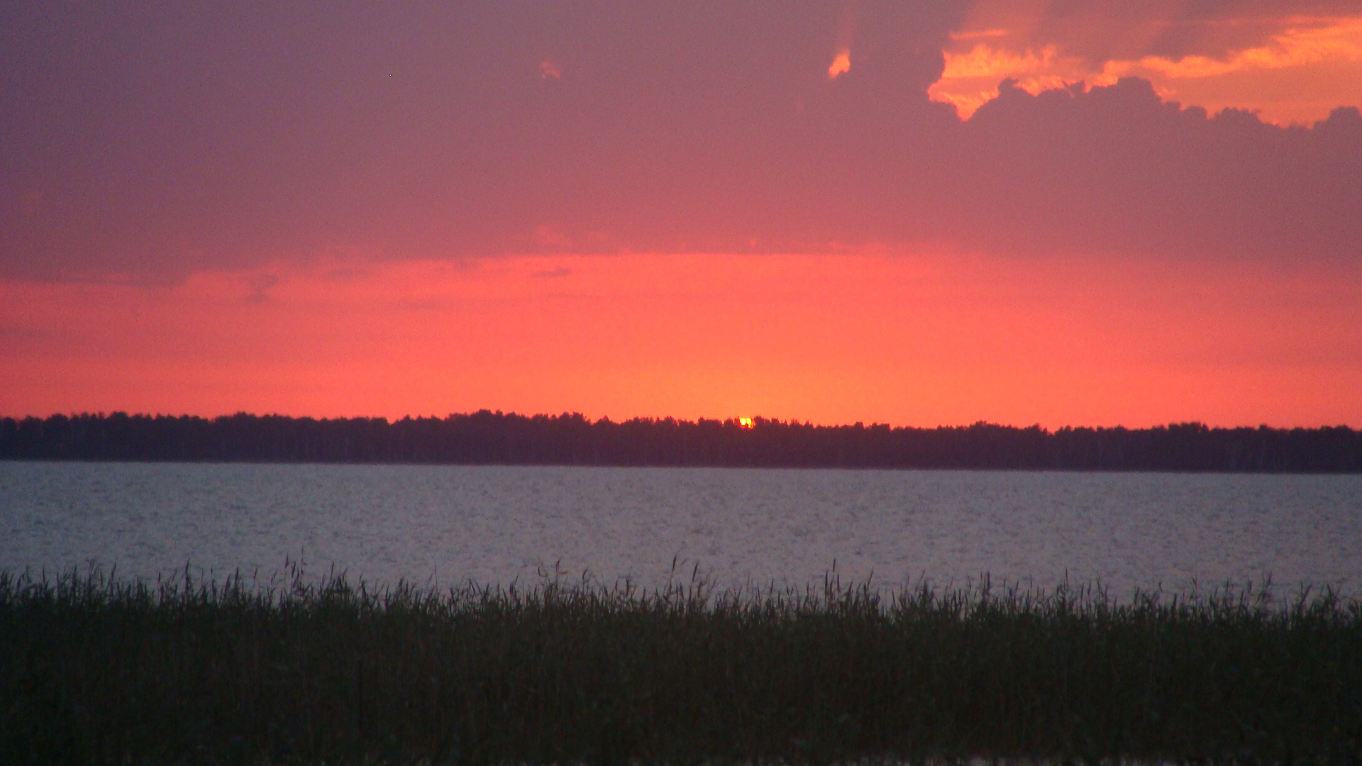 Озеро Чаны Новосибирская область