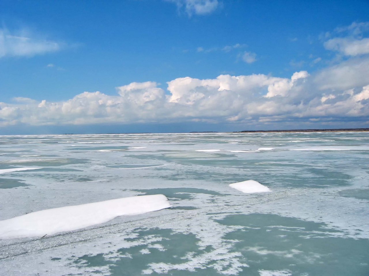 озеро чаны новосибирская область