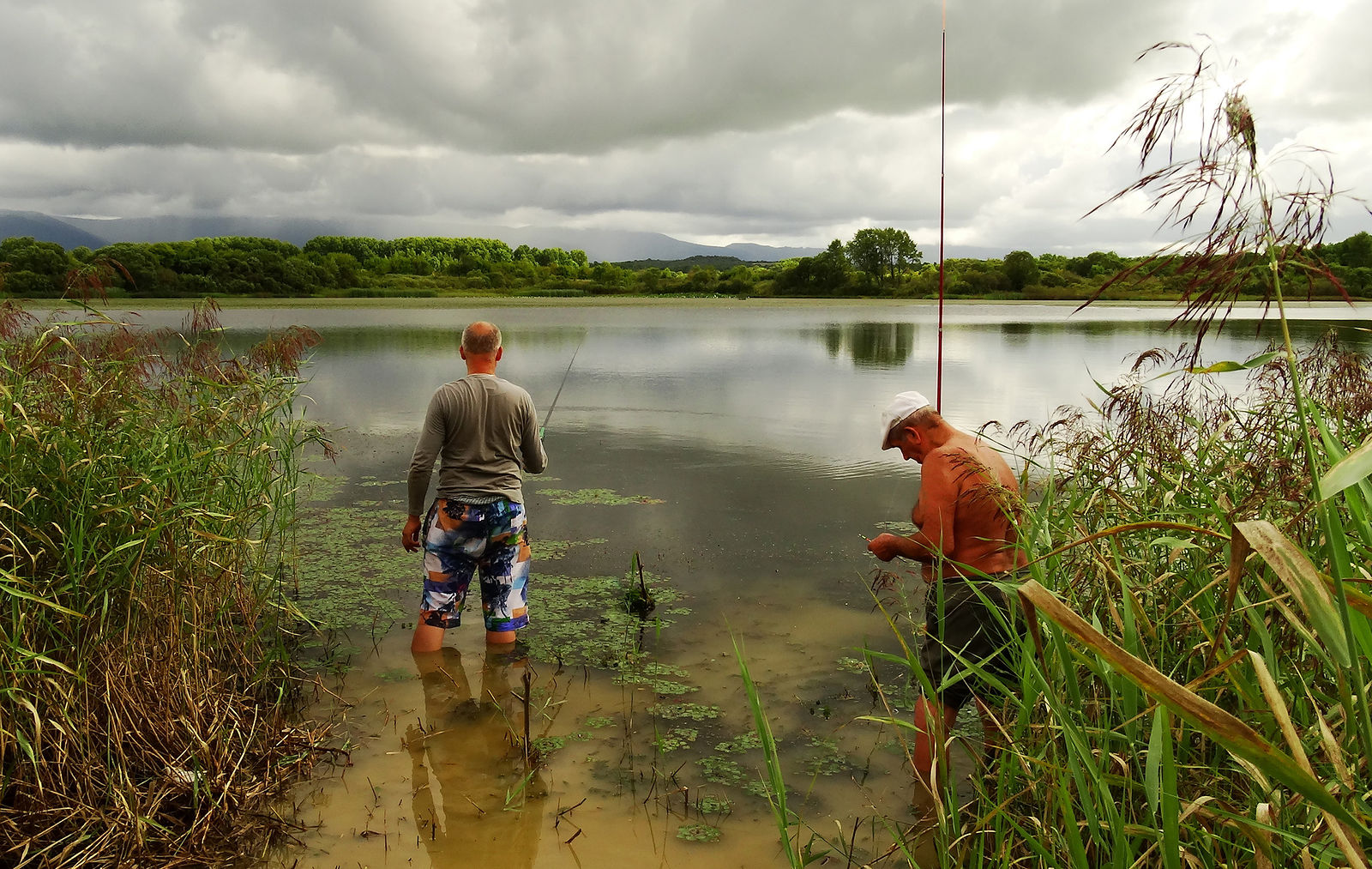 Ловля на озере видео. Рыбак на озере. Рыбалка летом. Рыбак на берегу реки. Рыбак на речке.