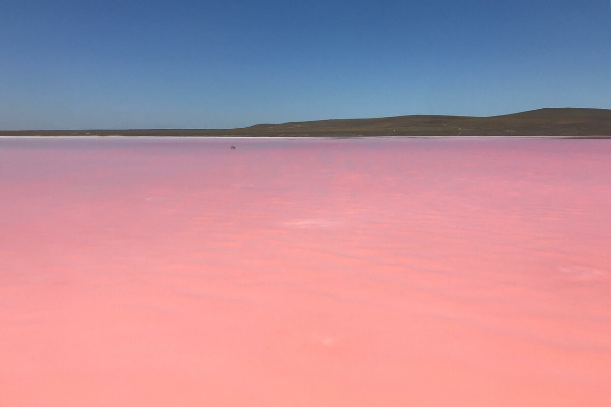 Крымское розовое озеро (Кояшское)
