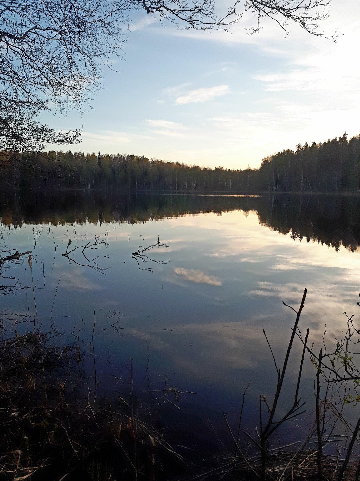 Лесное озеро Сычево