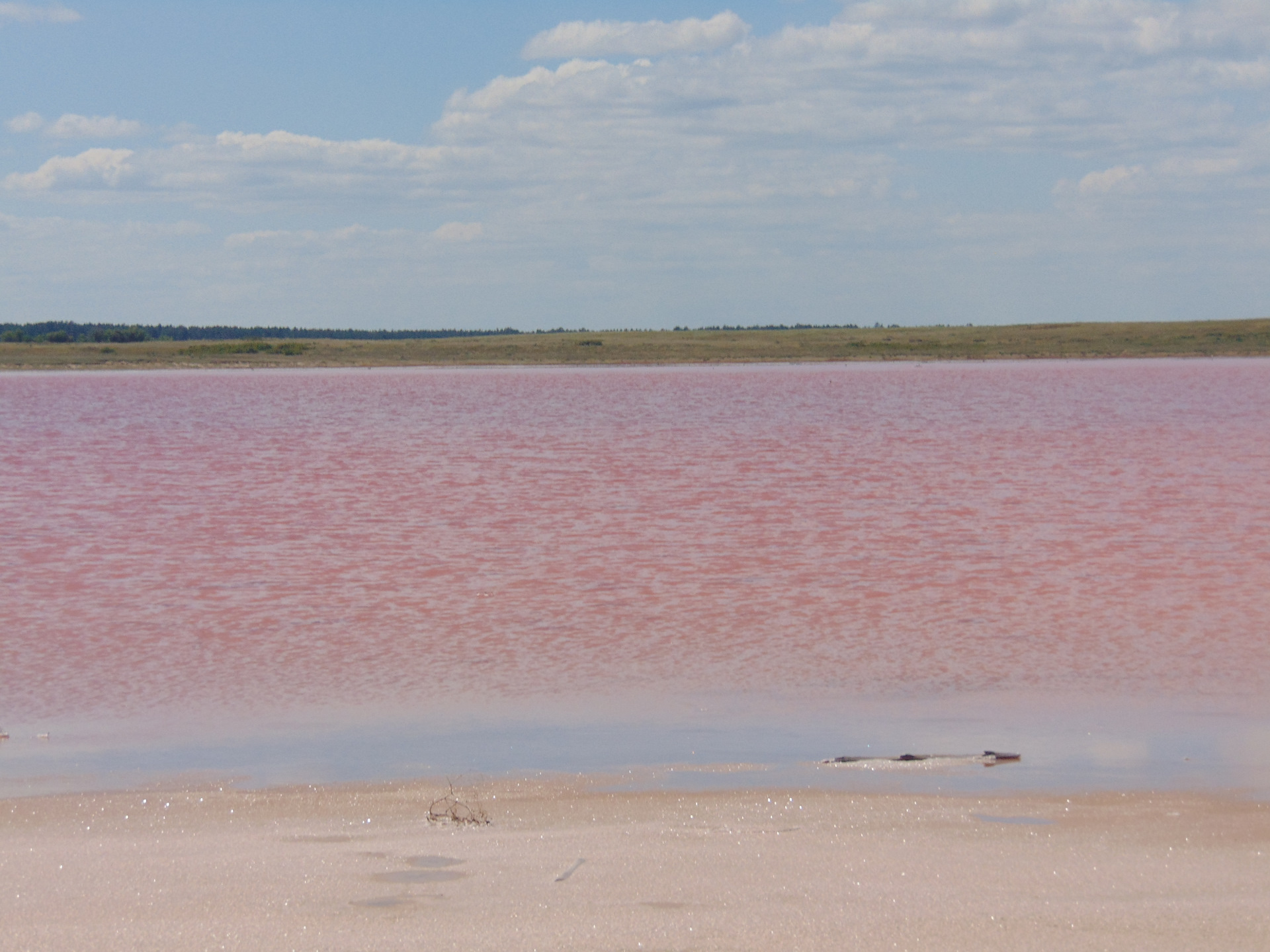 Красное озеро Алтайский край Яровое