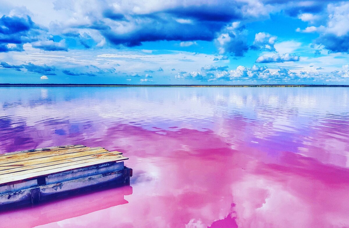 Розовое озеро на алтае