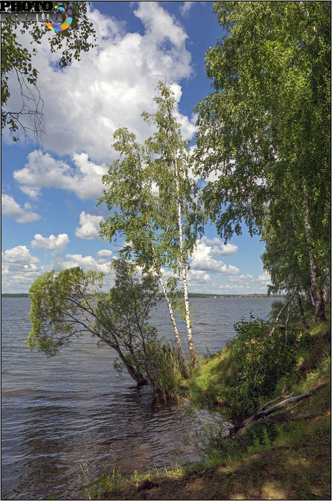 Озеро Сенеж Солнечногорск