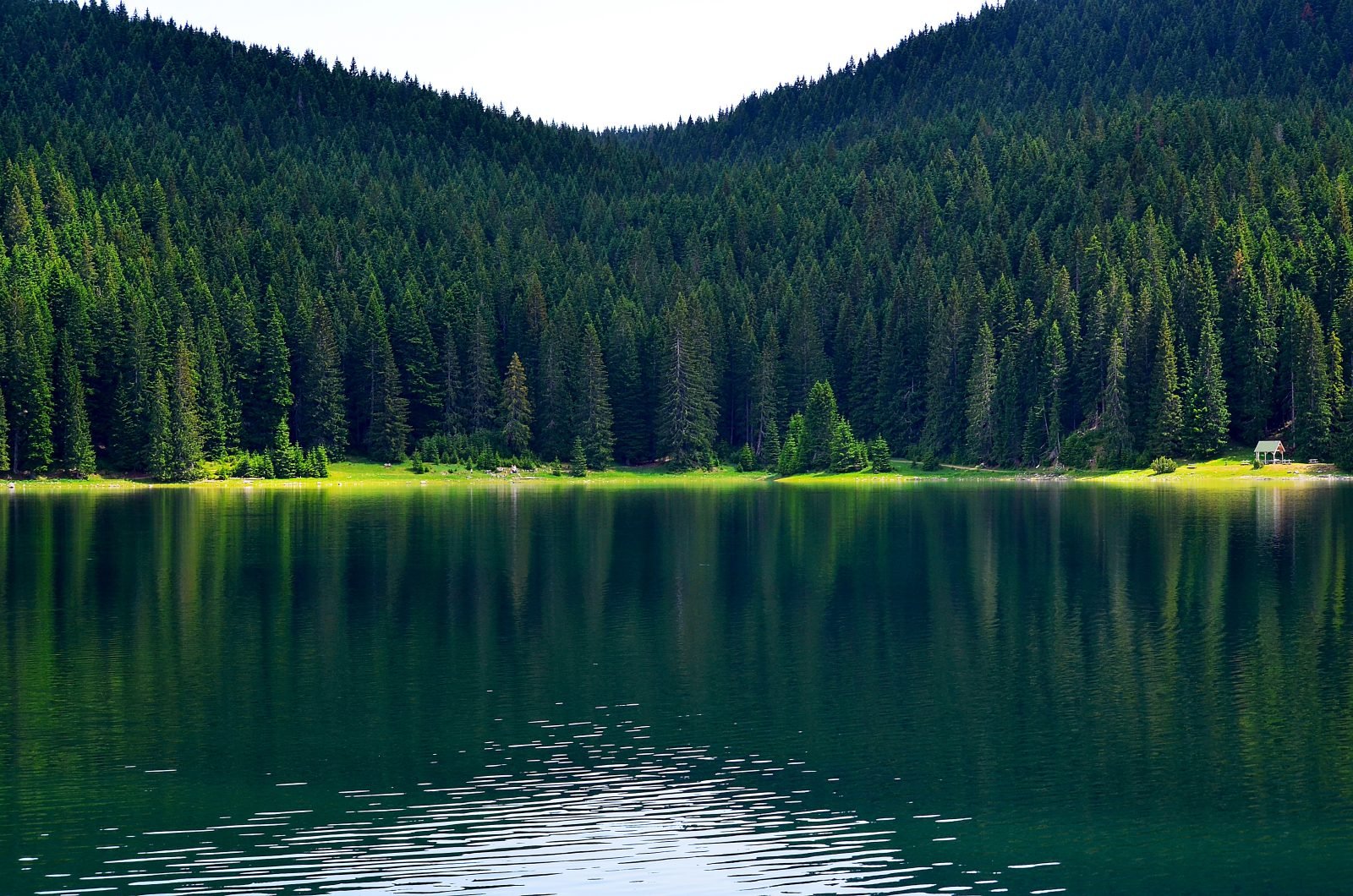 Фото черного озера
