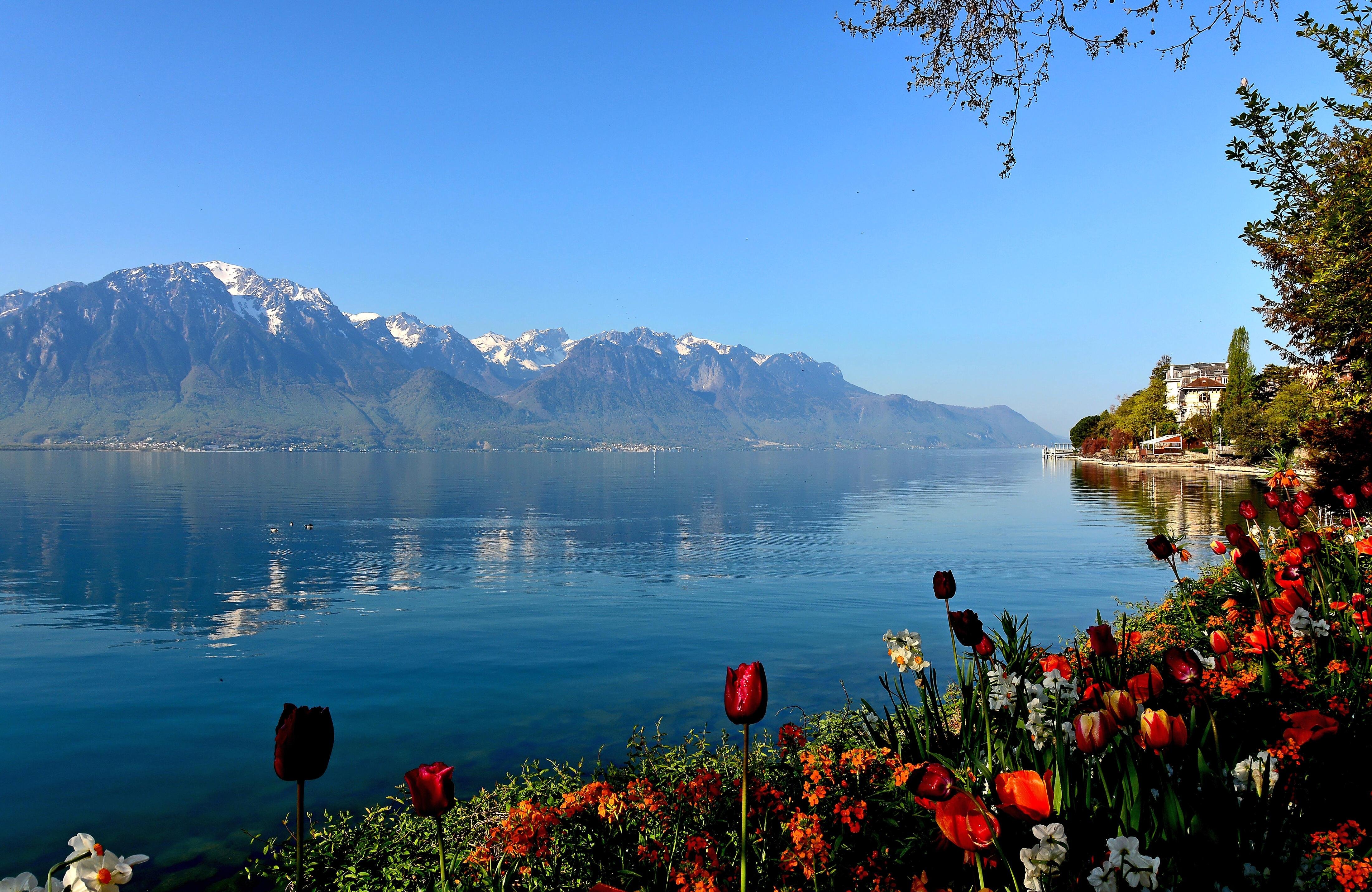 Природа Швейцарии Женевское озеро