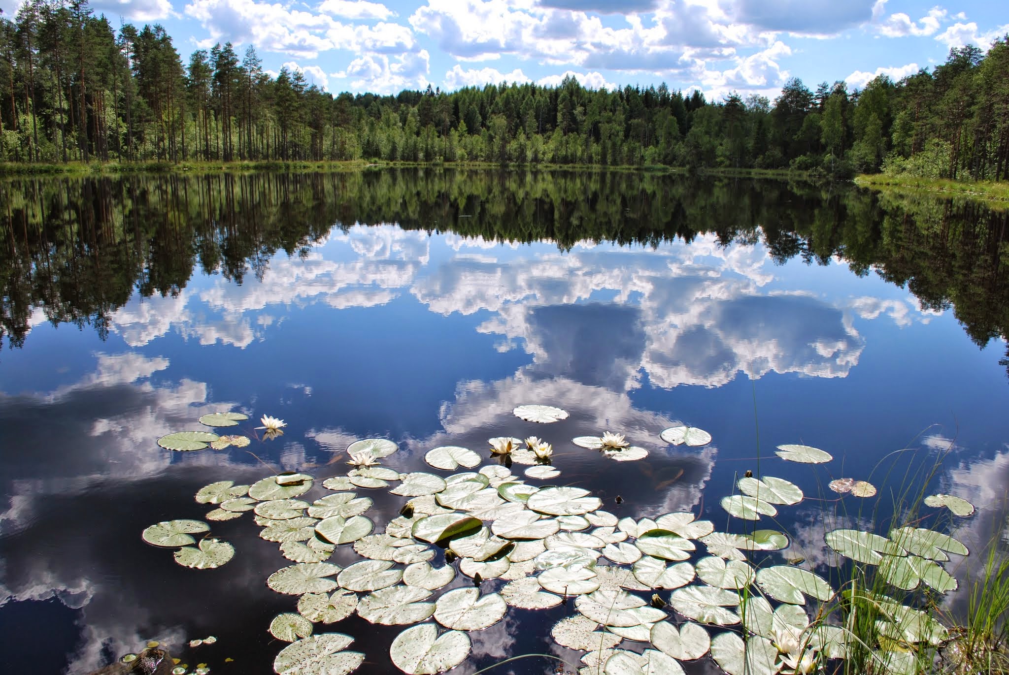 Озеро Луково Псковская область