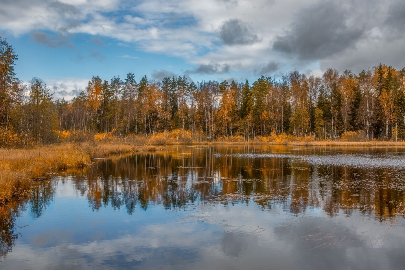Оглухино озеро осень