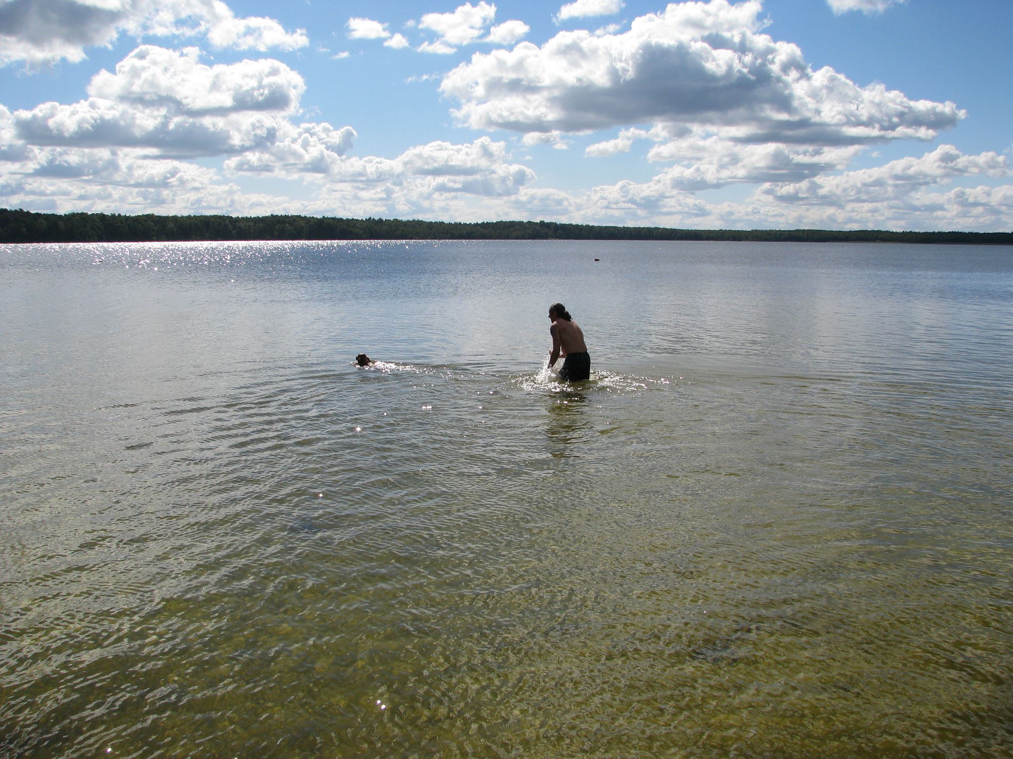 Озеро Луковское Беларусь