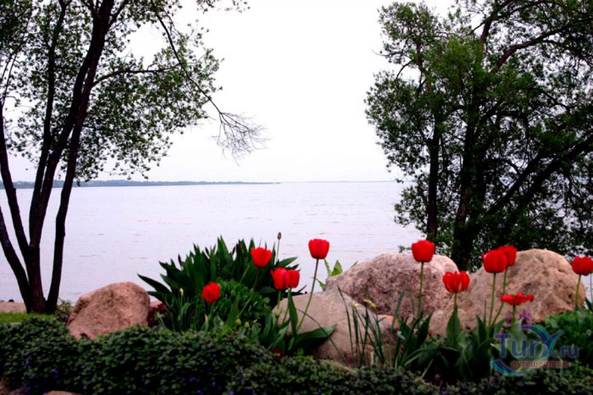 Нарочанский берег озеро