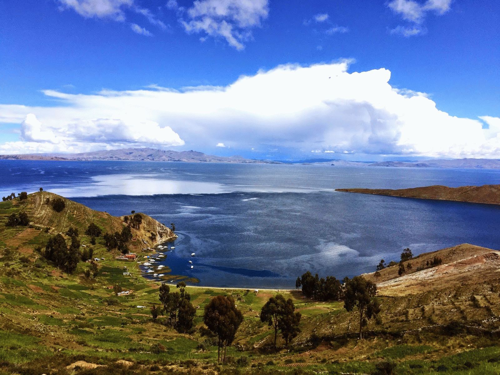 Большое пресноводное озеро в латинской америке. Боливия озеро Титикака. Озеро Титикака Перу. Южная Америка озеро Титикака. Высокогорное озеро Титикака.