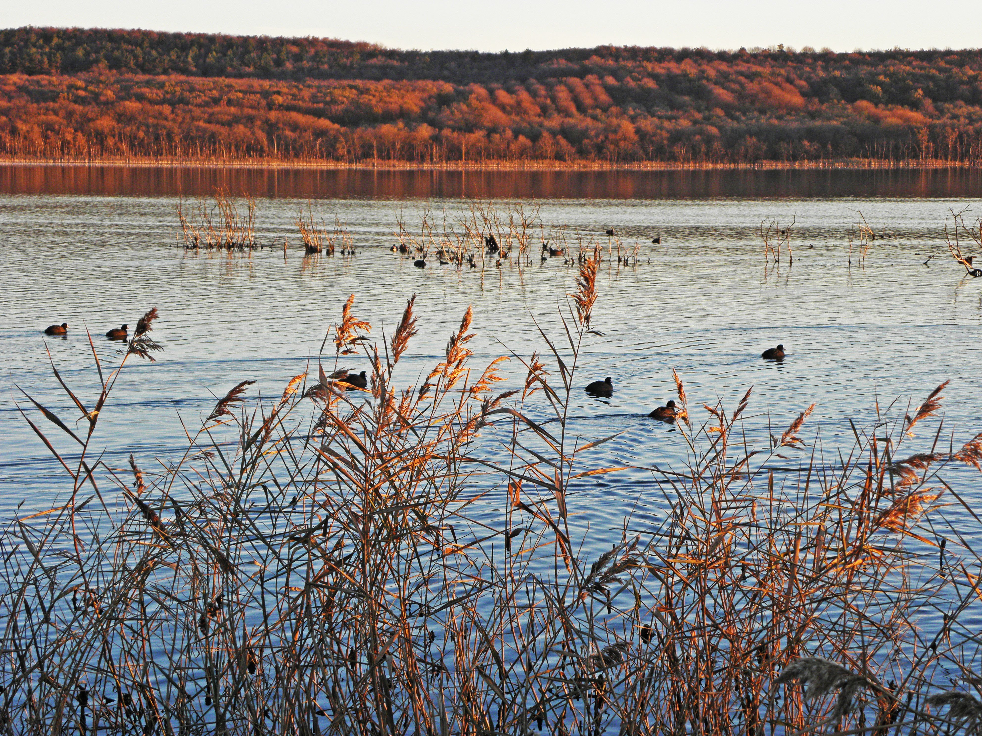 Озеро Тамбукан Ставропольского края