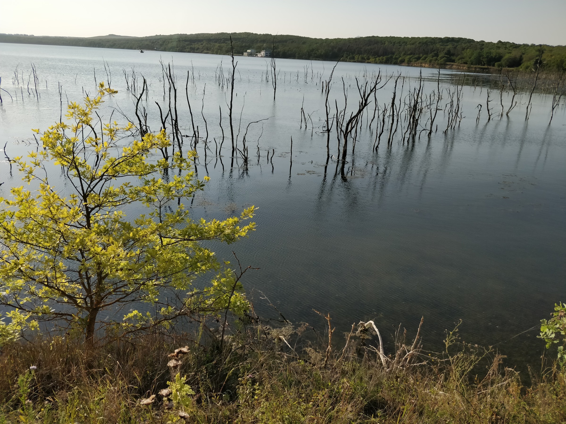Тамбуканское озеро Ставропольский край