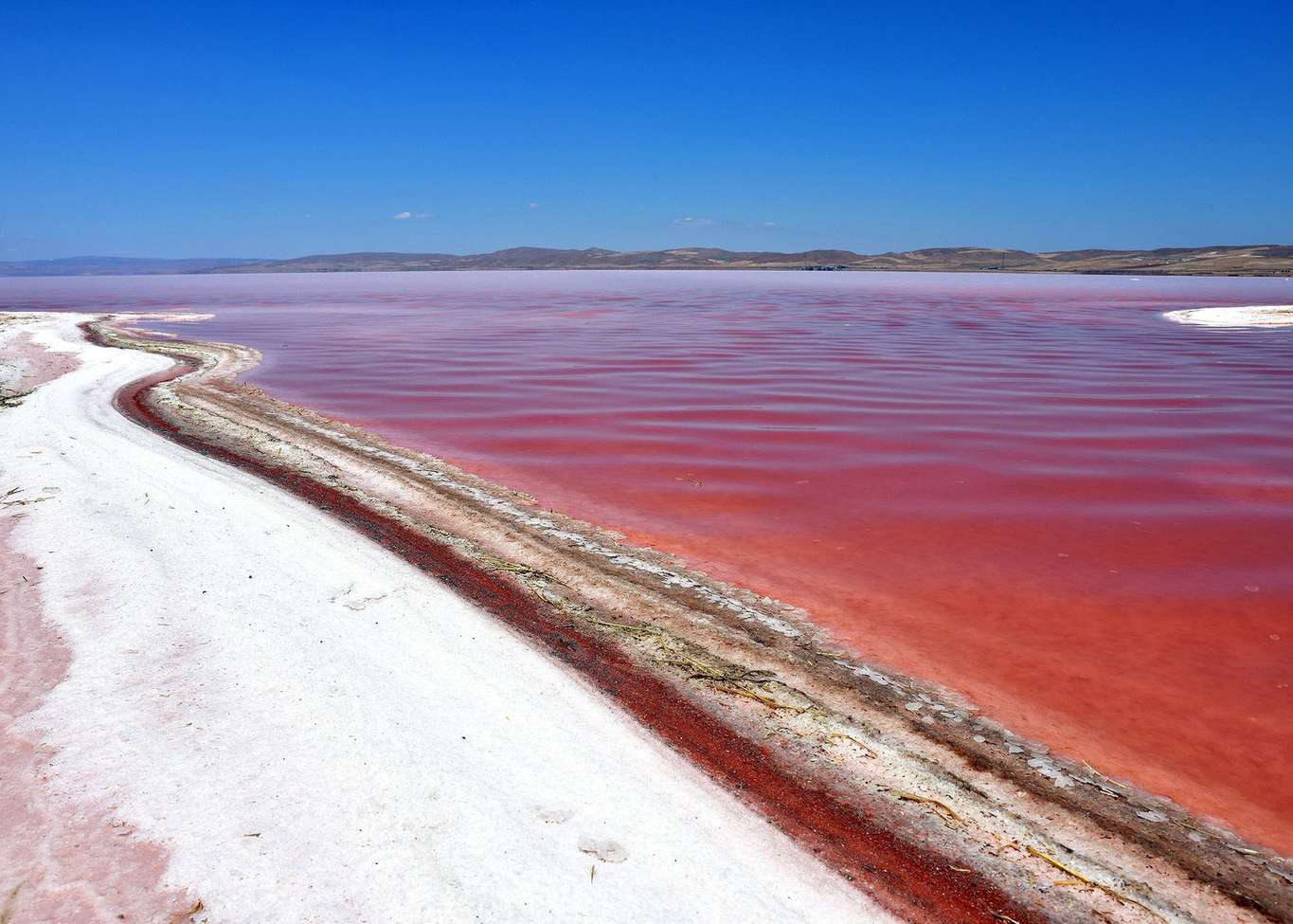 красное озеро в беларуси