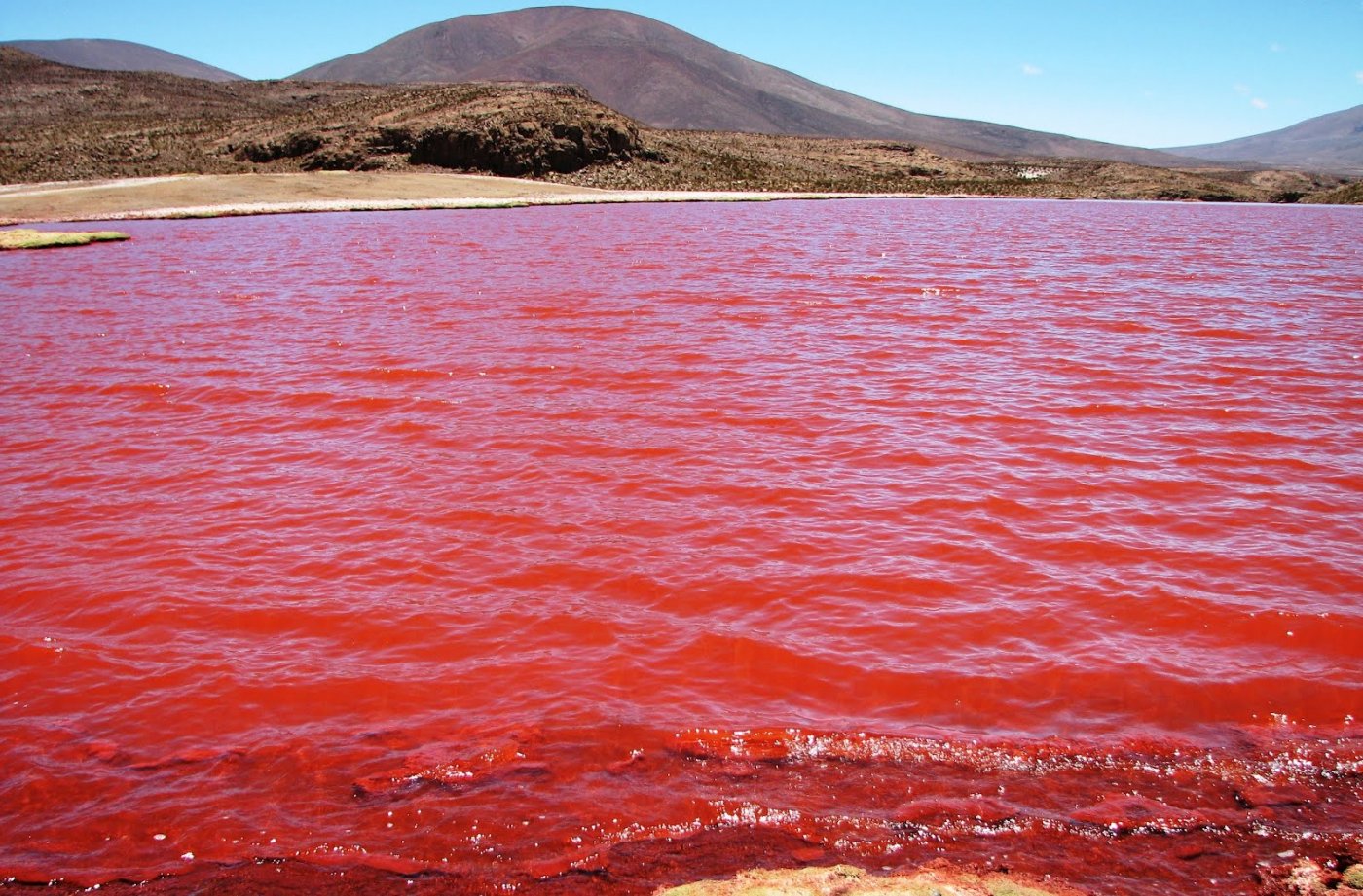 Красные озера где. Озеро Ретба Сенегал. Озеро Хиллер. Соленое озеро Хиллер. Озеро Хиллер (остров Миддл).