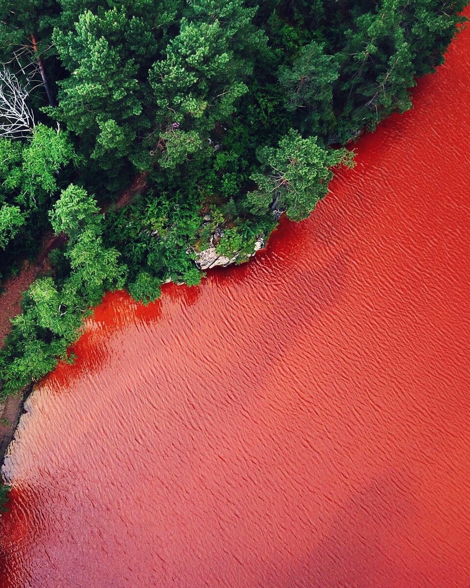 река красная все