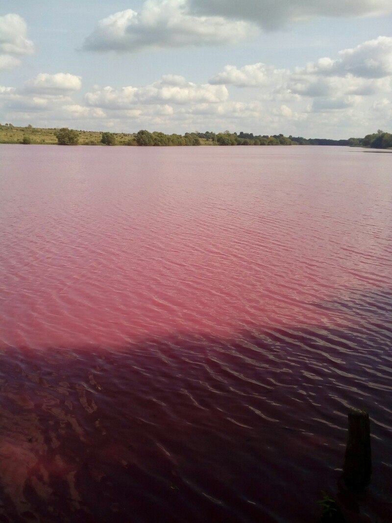 Красные озера Тульская область Узловский район