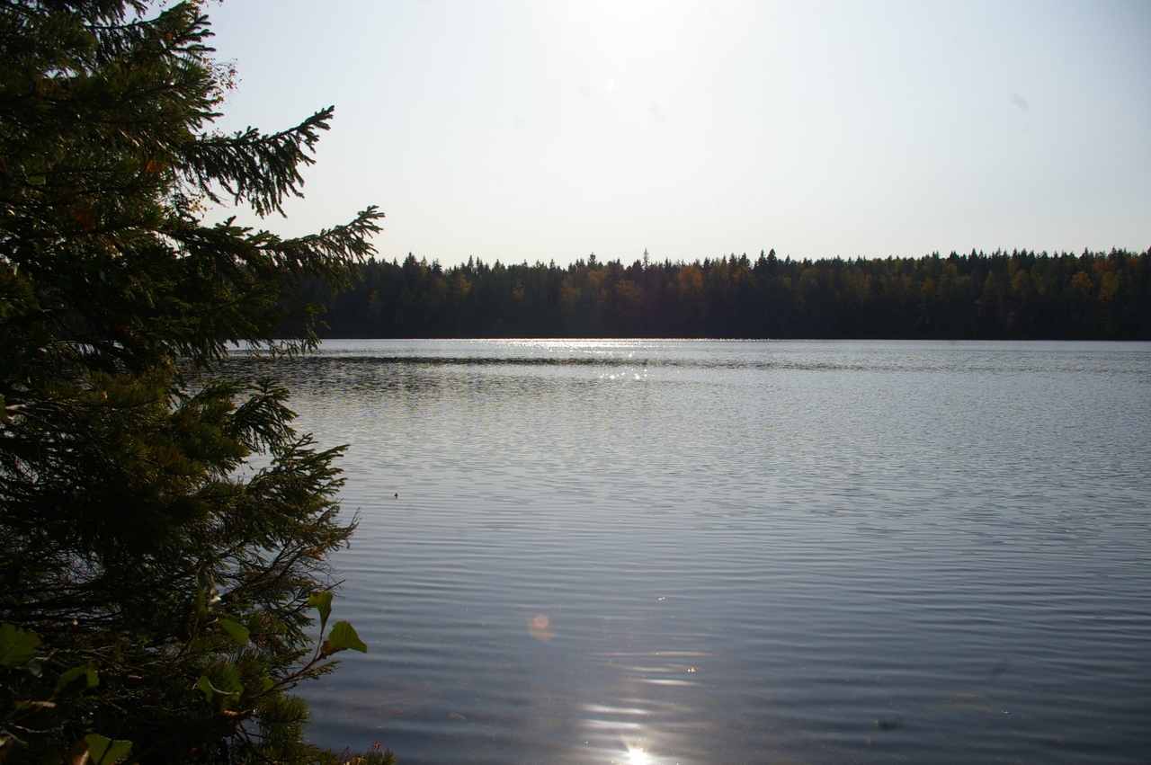 озеро тарасовское ленинградская область
