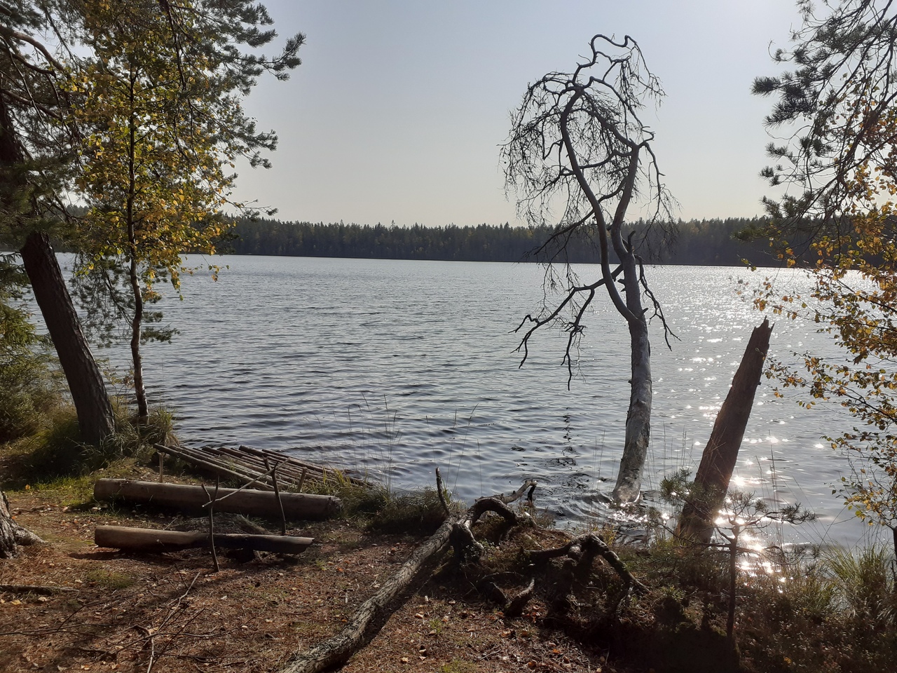 Невское озеро Ленинградская область
