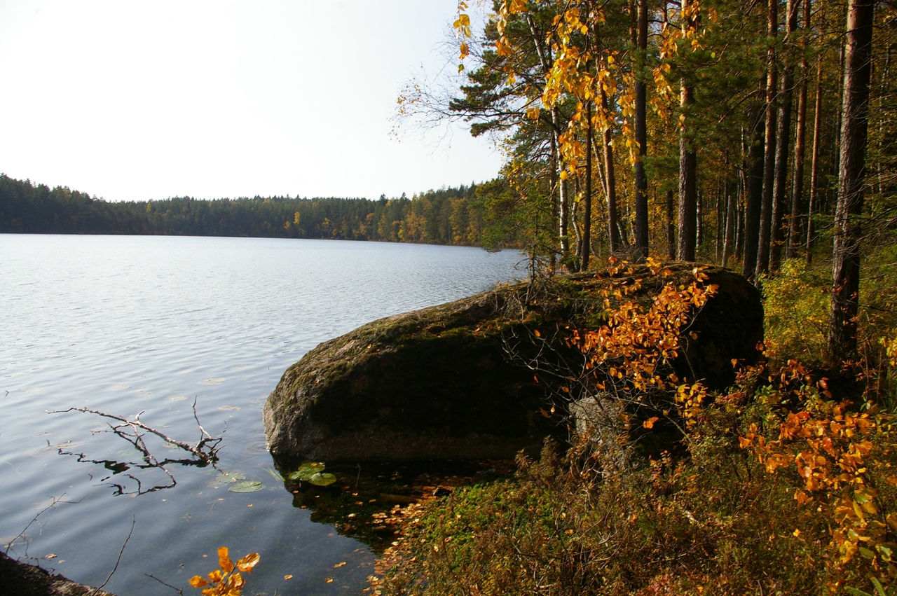 Озеро Оярви Карельский перешеек
