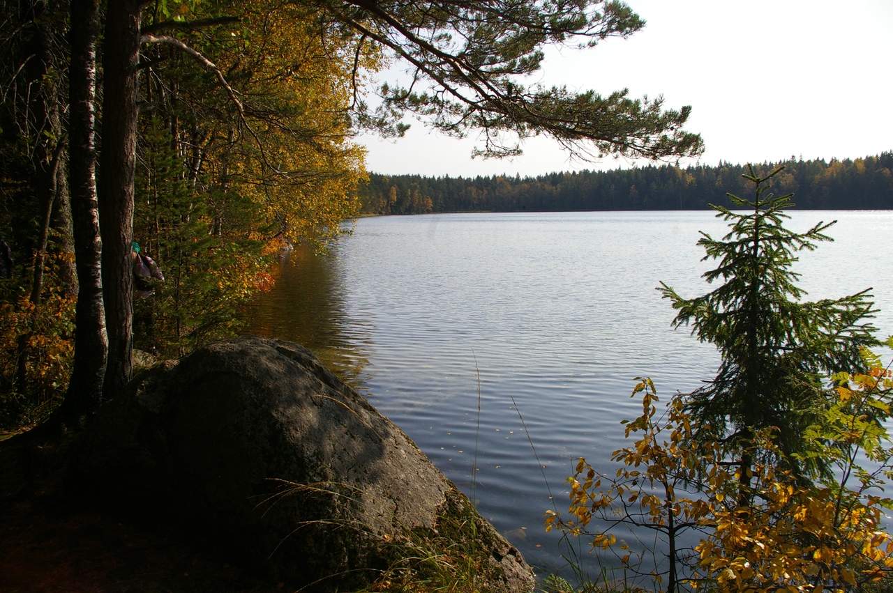 светлое озеро ленинградская область приозерский район