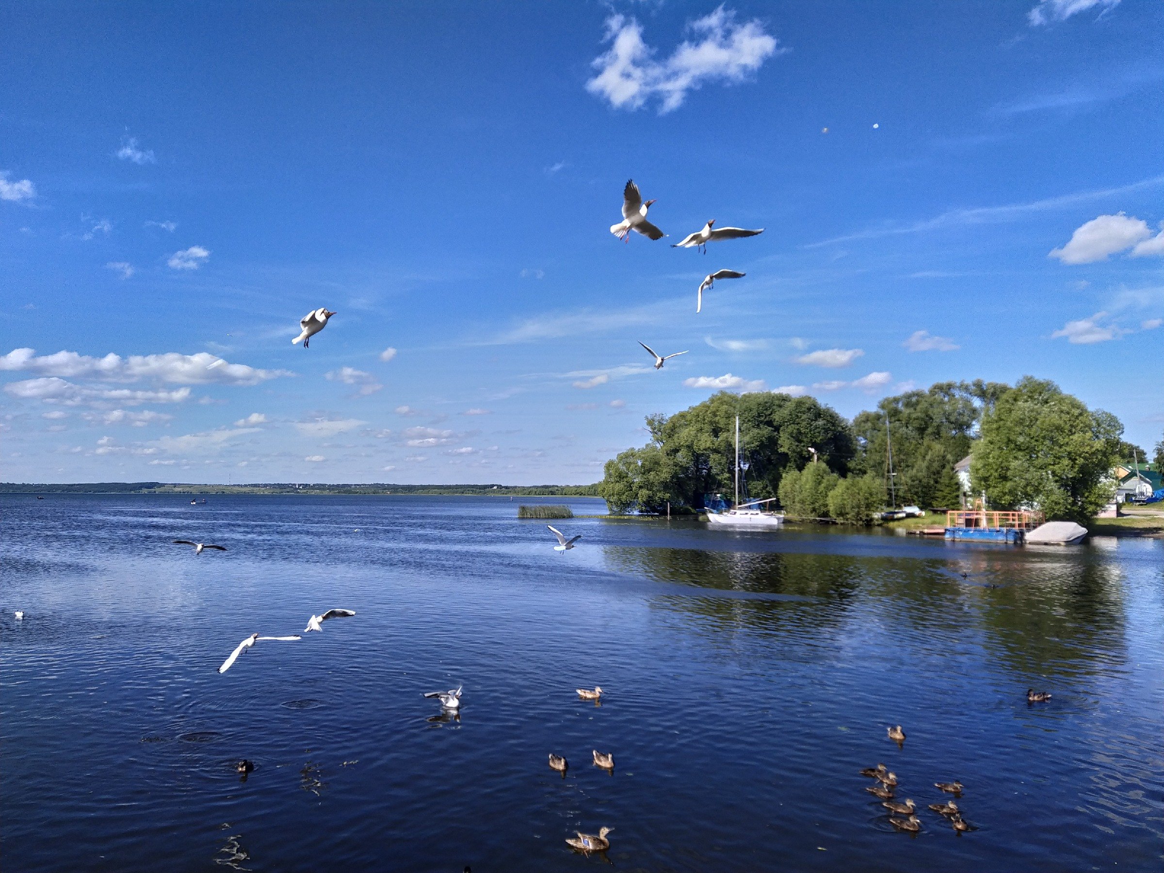 Национальный парк Плещеево озеро Переславль Залесский
