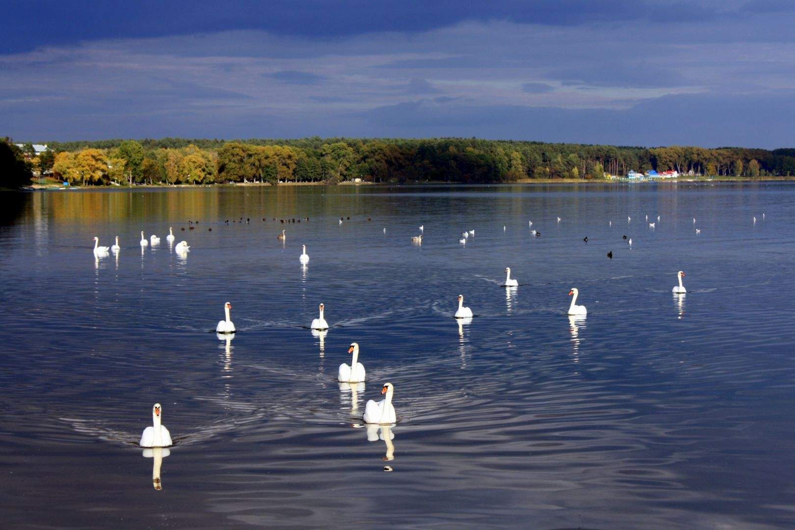 Картинки озеро Нарочь в Белоруссии