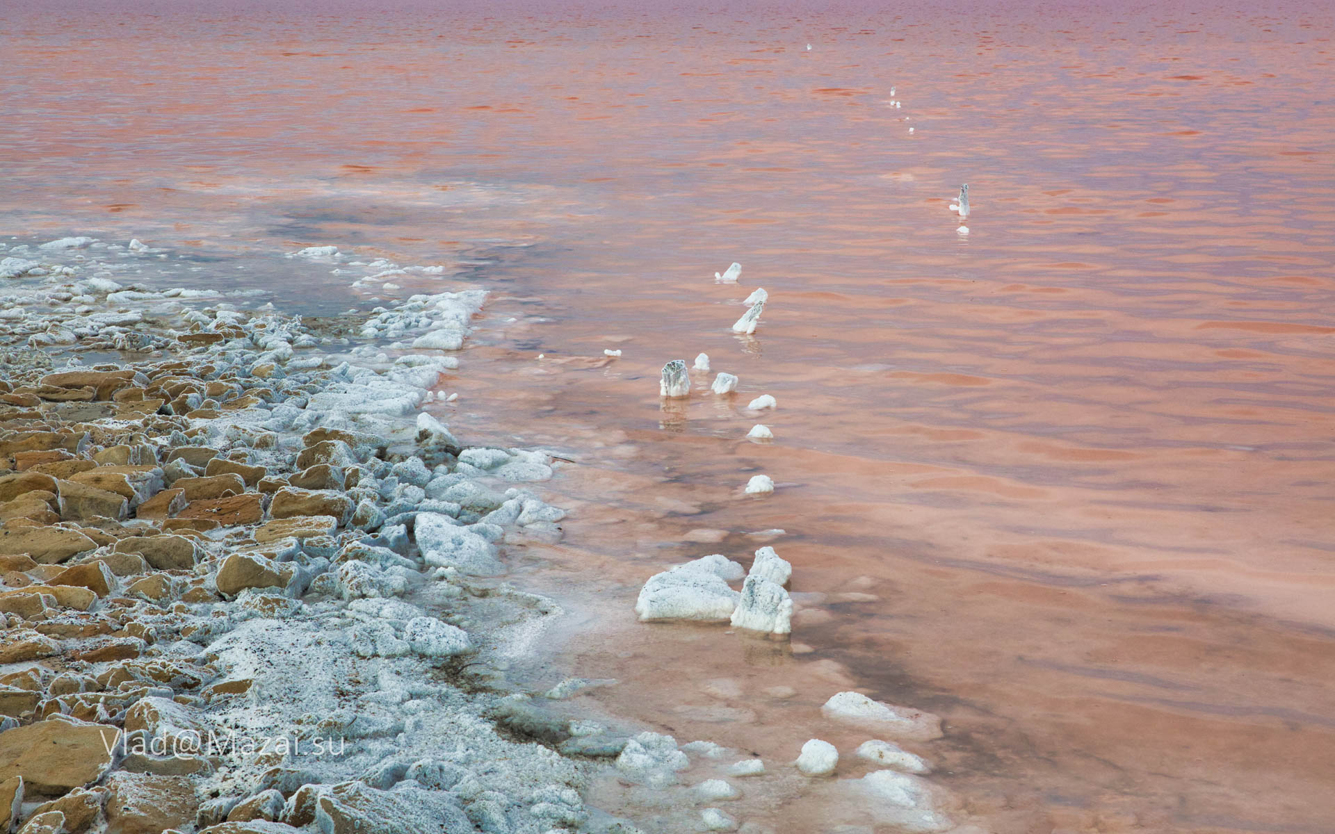 Что добывают на озере эльтон. Волгоград озеро Эльтон. Волгоград розовое озеро Эльтон. Озеро Эльтон, природный парк «Эльтонский». Рапа озера Эльтон.
