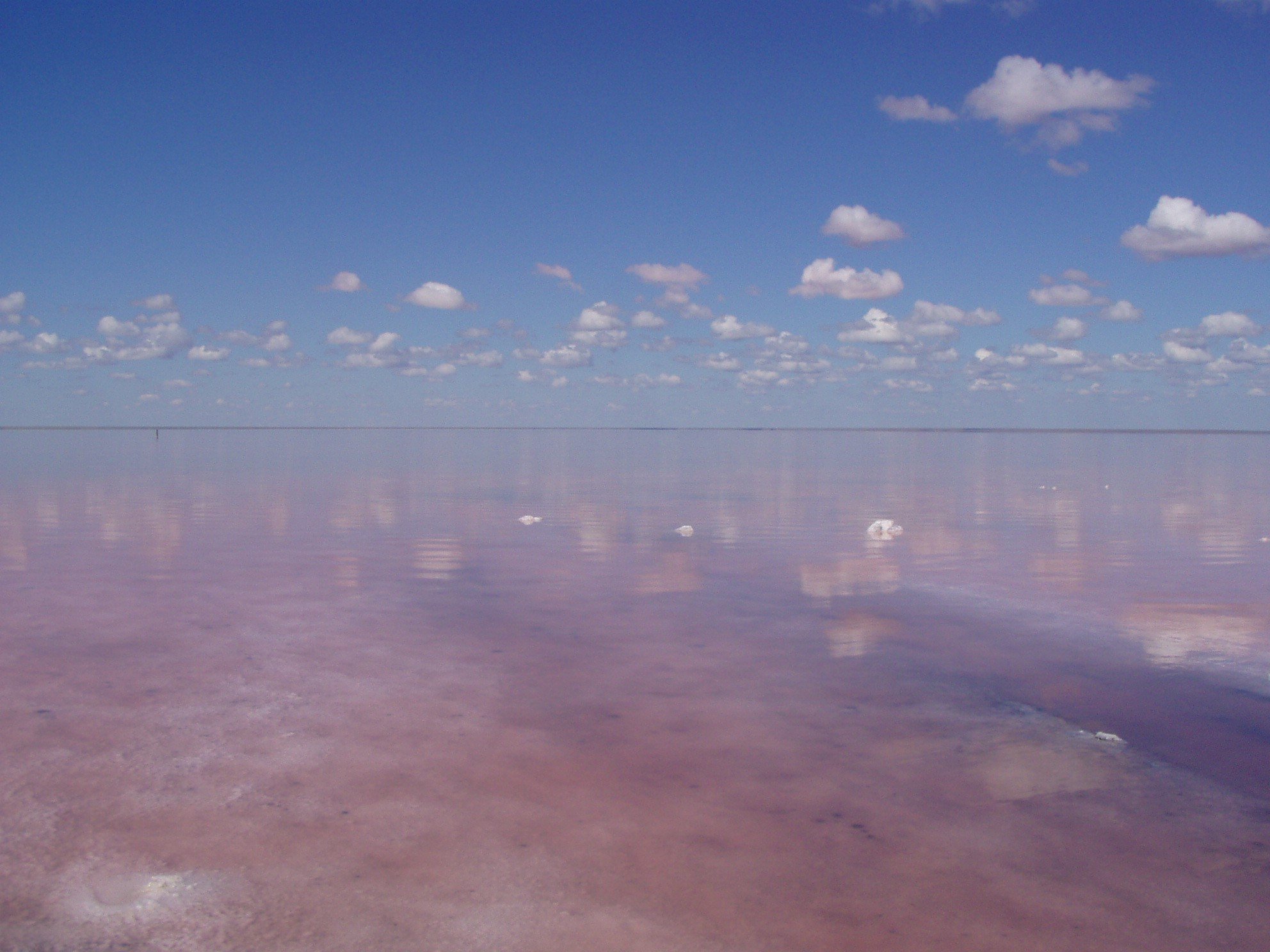 розовое озеро в волгоградской области