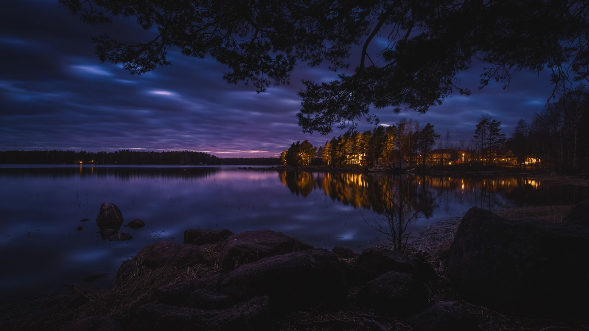 ночное озеро в лесу