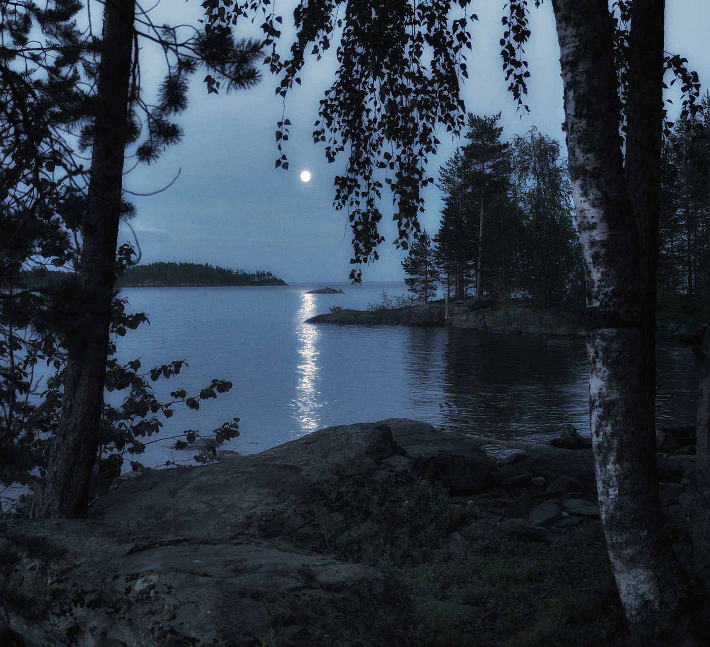 Ночь у берега 88гл. Луна и озеро. Берег озера ночью. Ночное озеро. Озеро ночью.