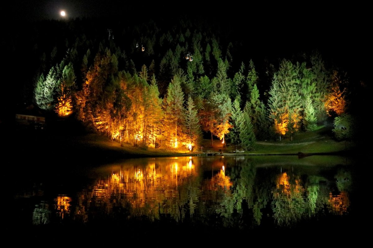 Ночной пруд в лесу