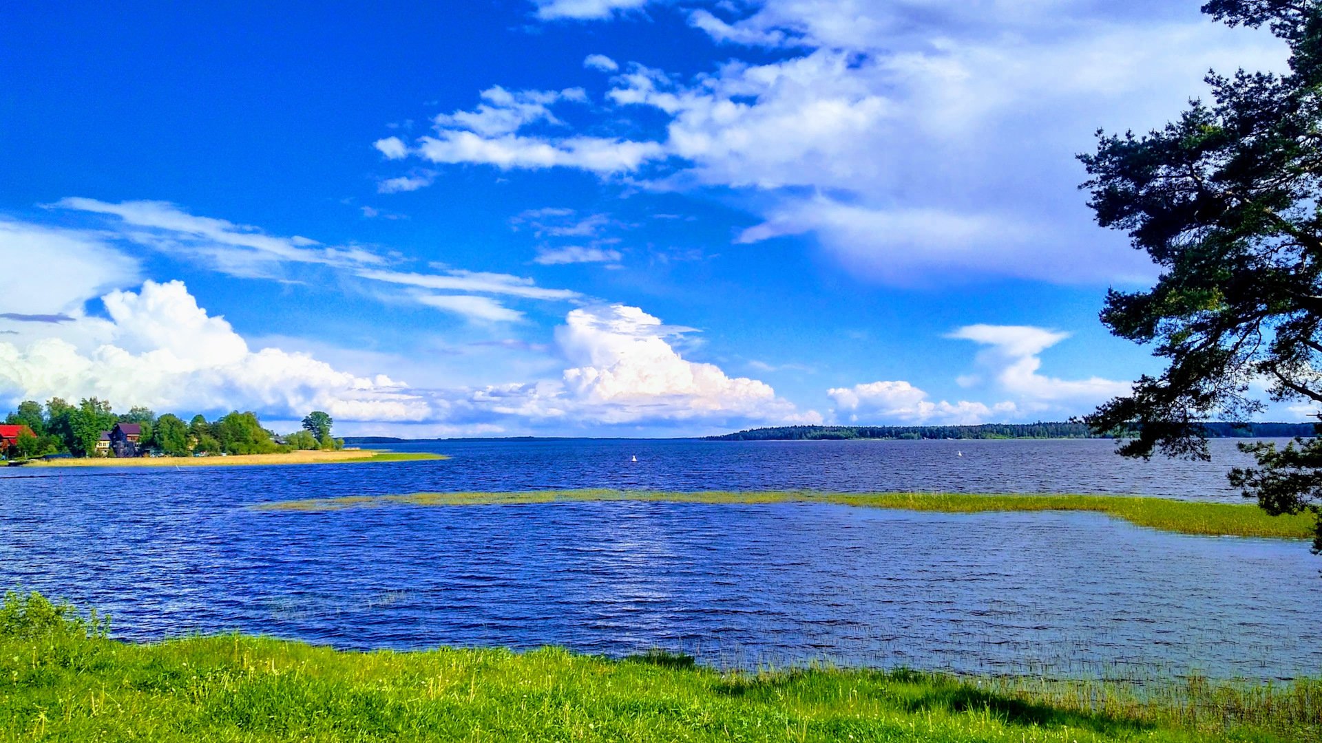 Озеро селигер красивые