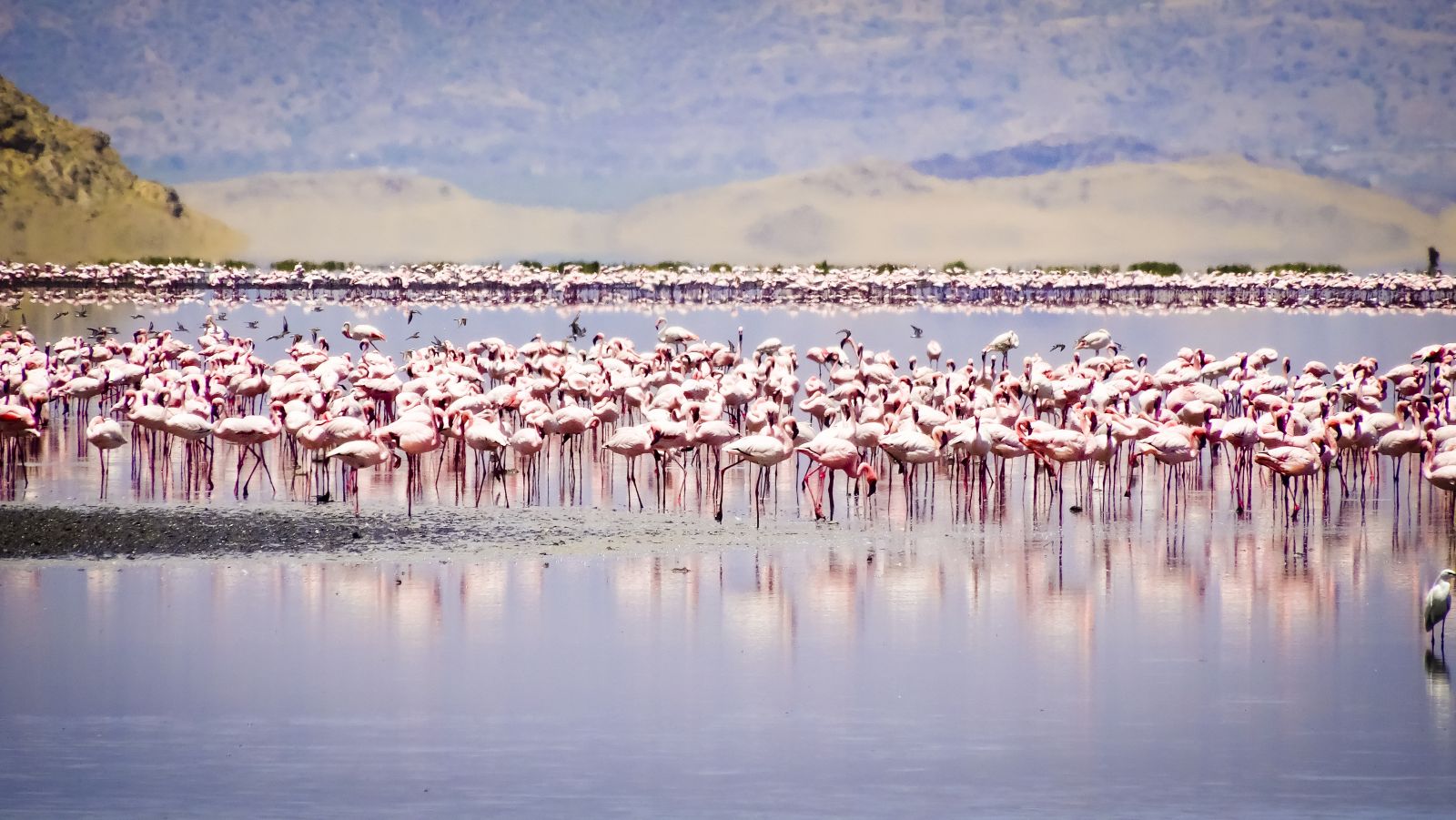 Озеро Натрон в Танзании