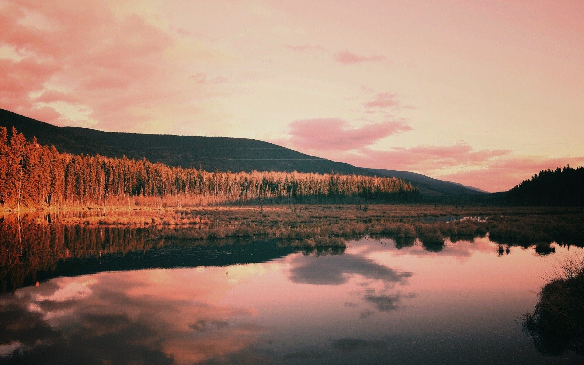 Озеро лама Норильск