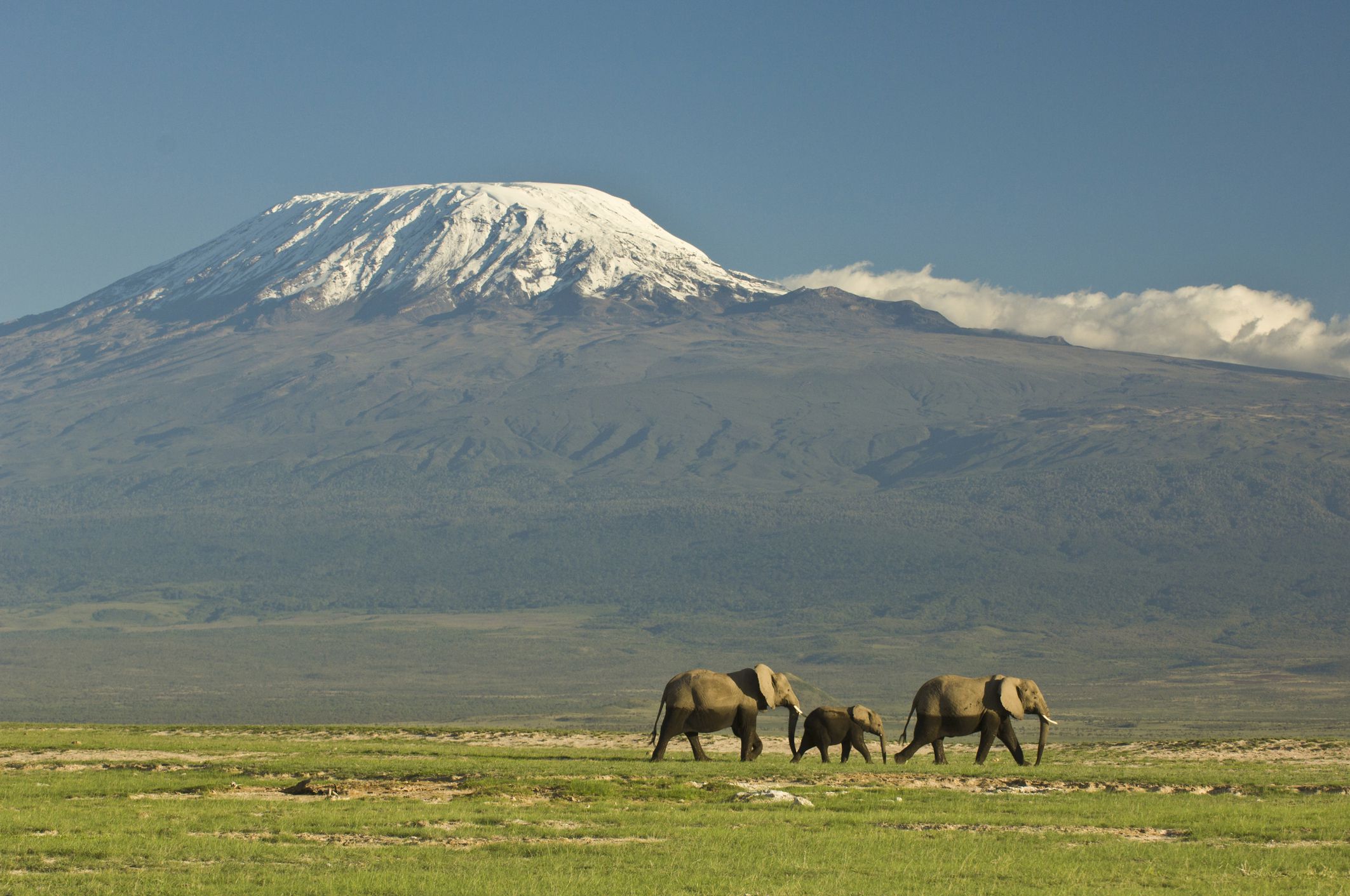 Вулкан Килиманджаро