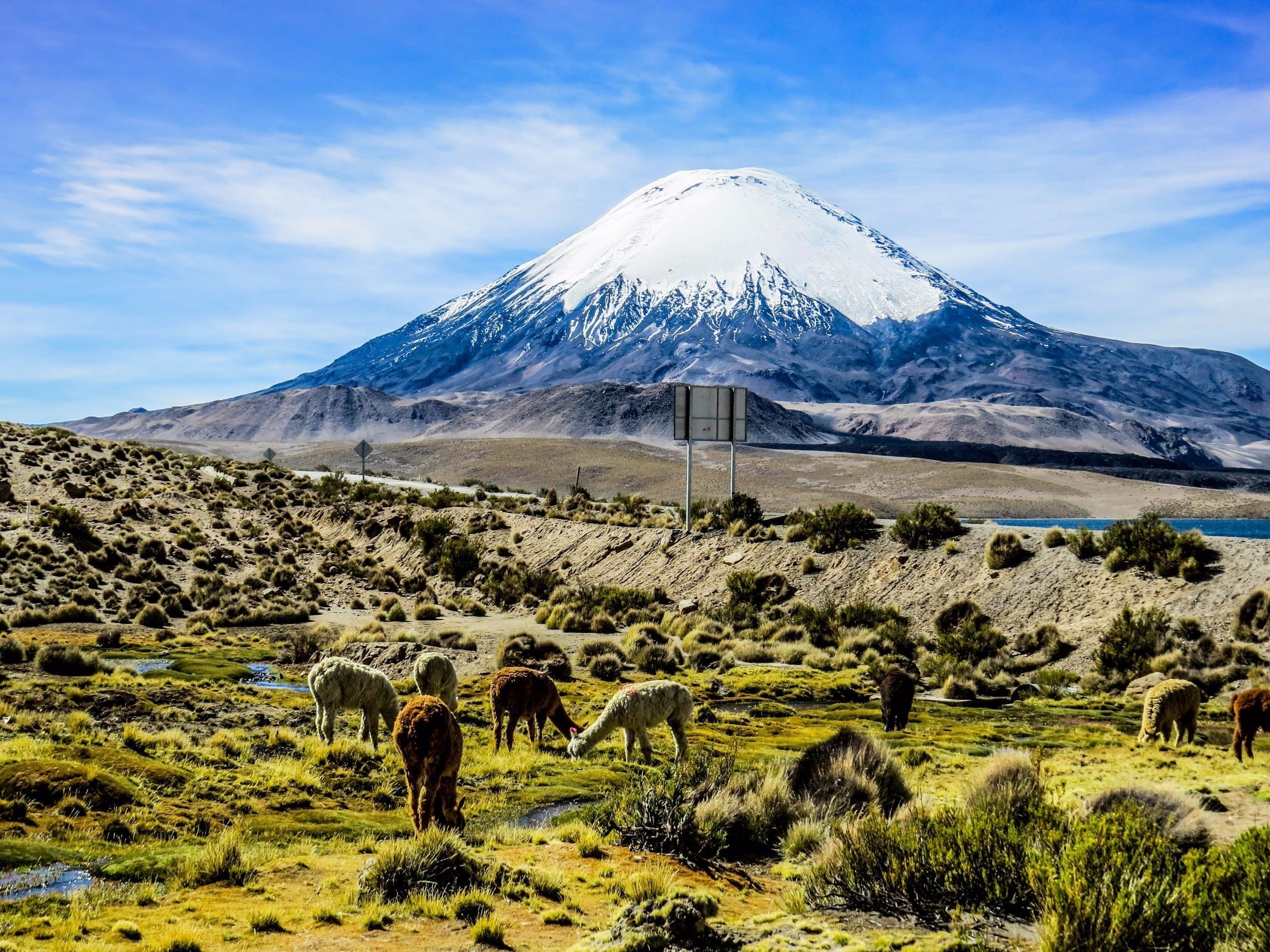 Памятники природы чили. Национальный парк Лаука Чили. Вулкан Майпо Чили. Охос-дель-Саладо вулкан. Вулкан Льюльяйльяко (Чили, Аргентина).