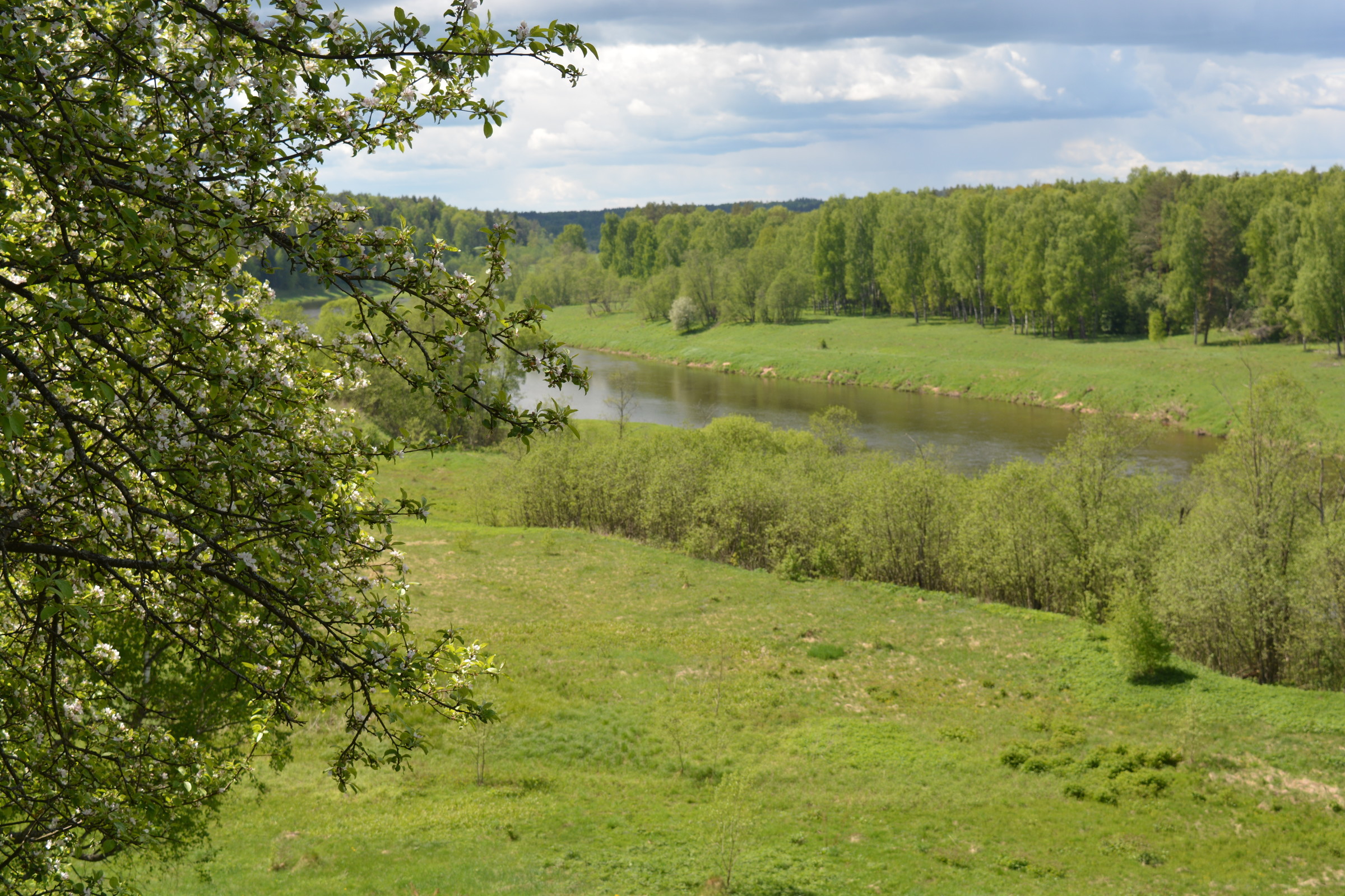 Национальный парк Угра Калужская область